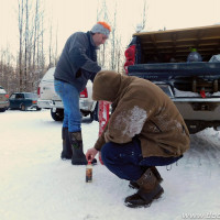 dodgeram ru 1338