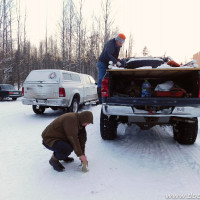 dodgeram ru 1339